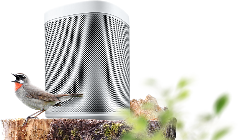 Баннер с товаром Баннер с товаром